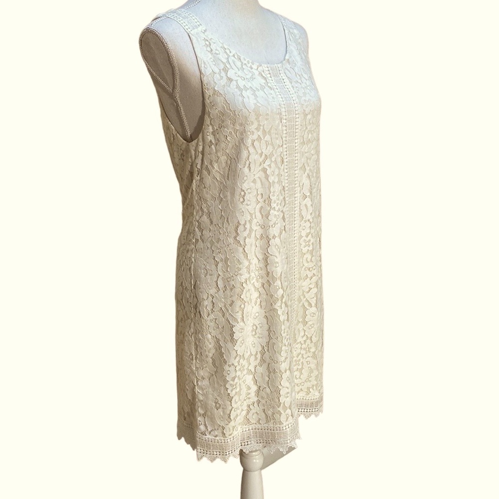 NWT Atina Cristina White Anthonia Lace Dress Size Medium